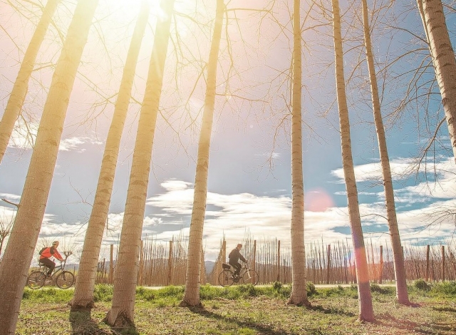  The best bike routes 